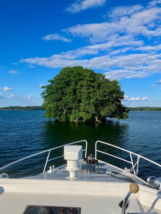 Tyylikäs jahti Vääksyn kanavan lähellä
