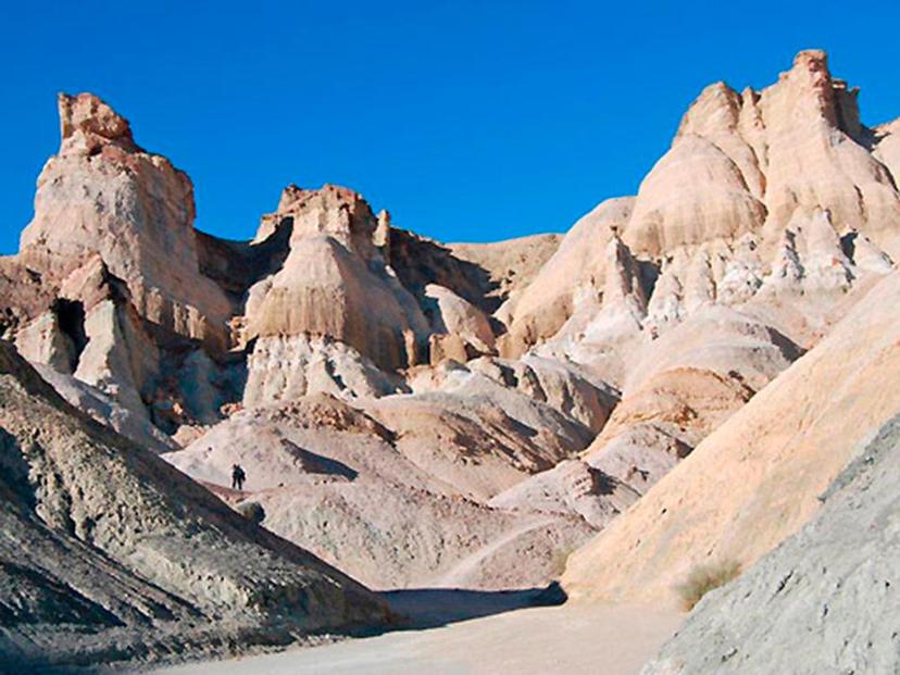 Cabaña Los Pinos