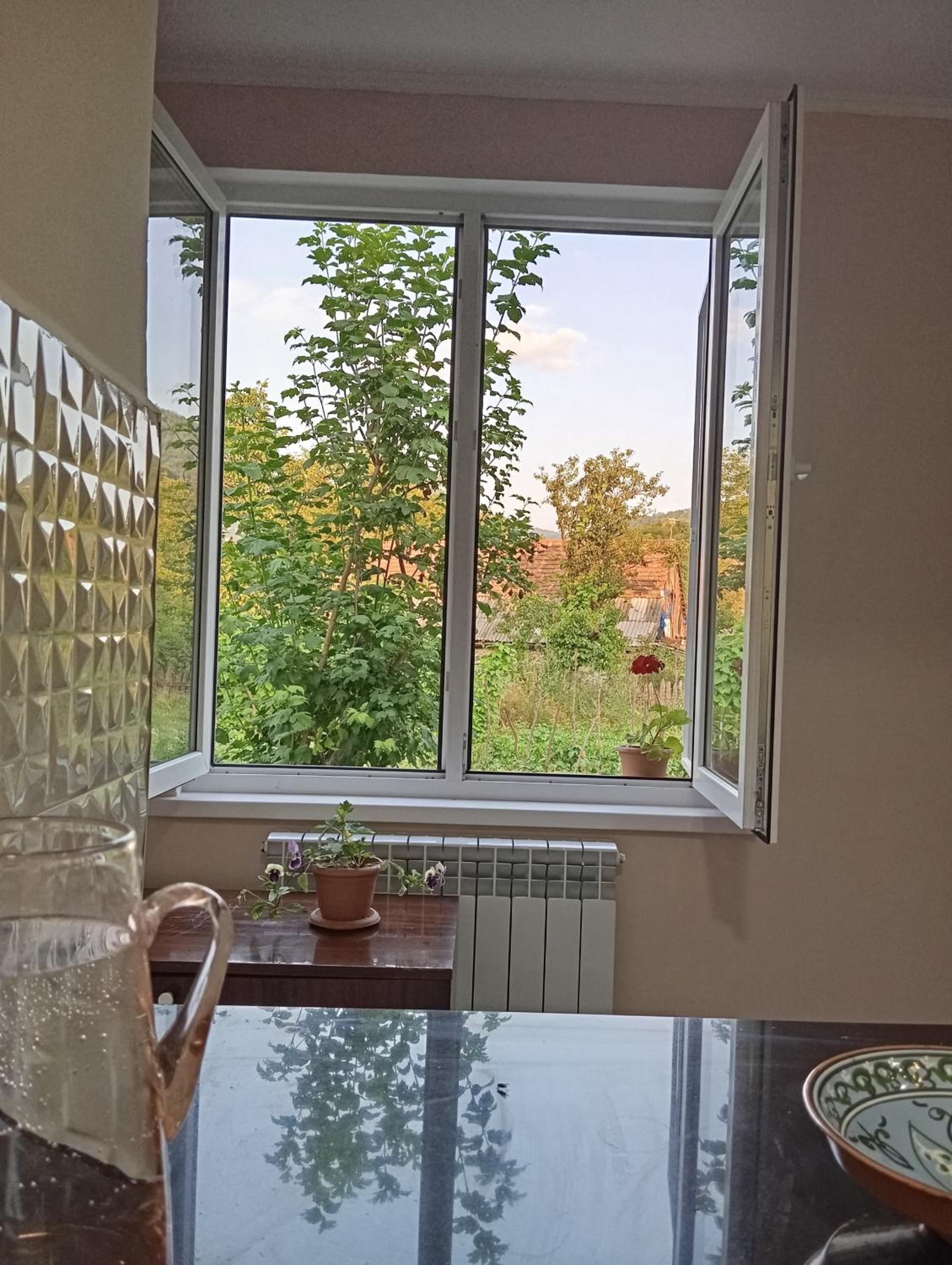 Mush Guest House in Sanahin