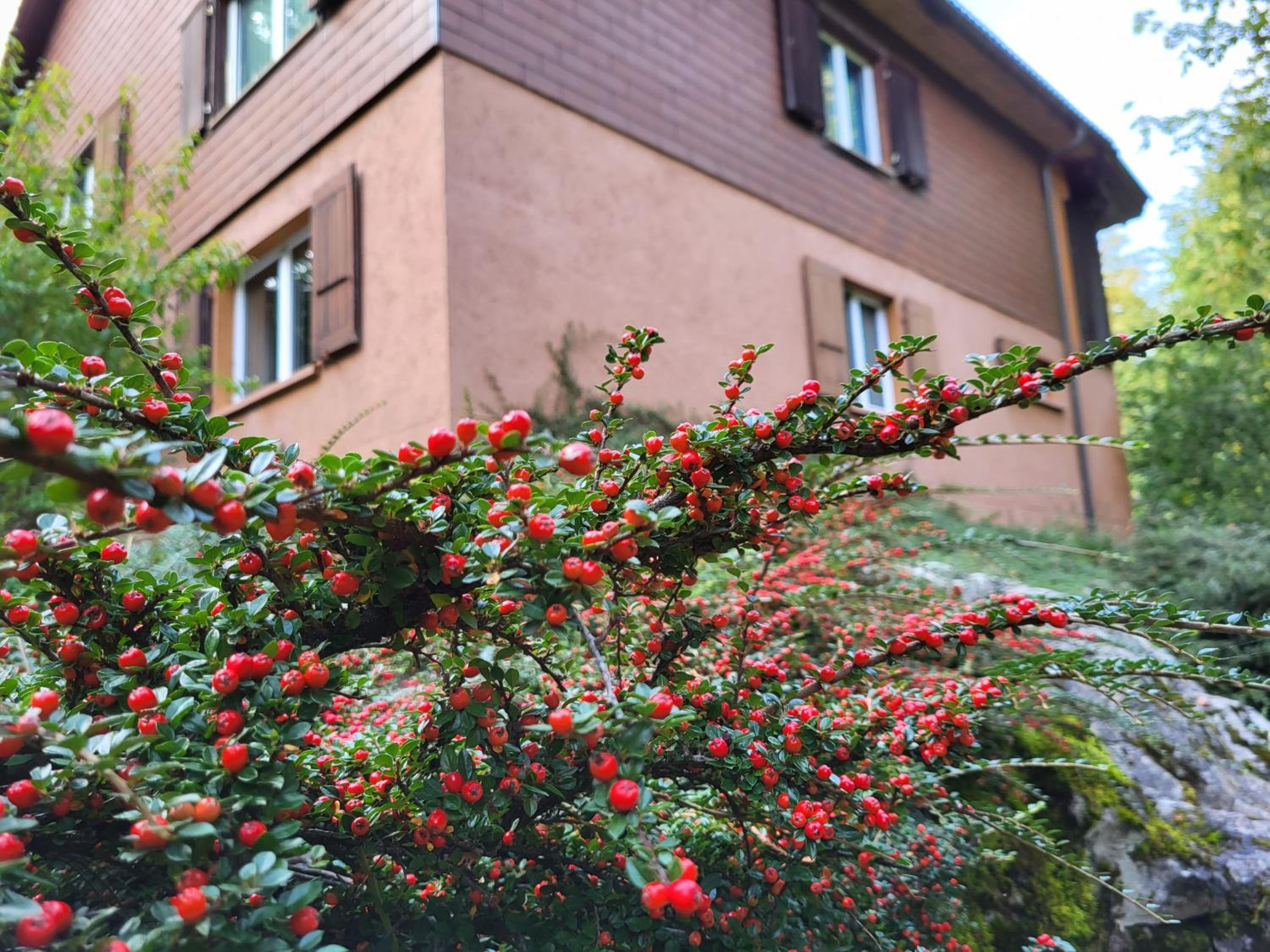 Ferienhaus Bärschwendi