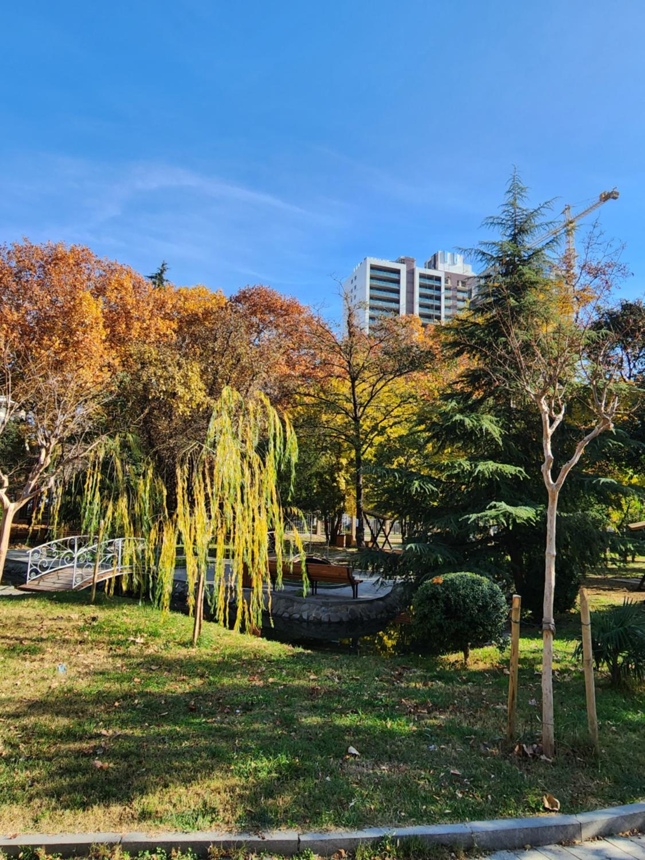 M2 Complex near City Mall with City View in City Center view 2