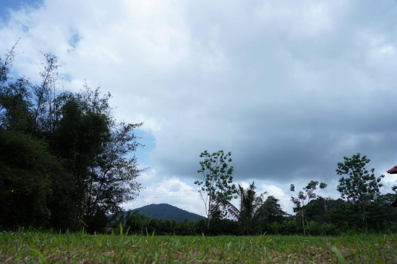 Springfield coorg