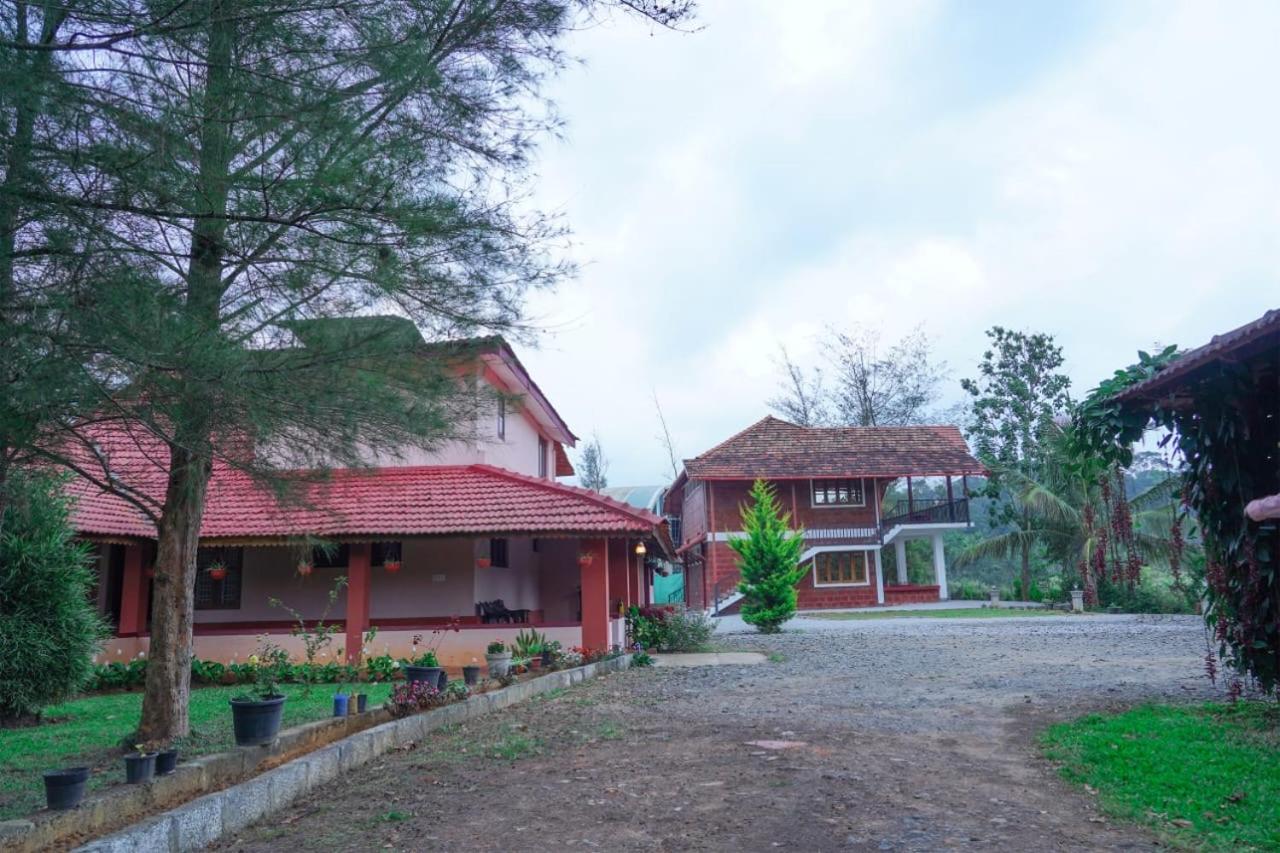 Springfield coorg