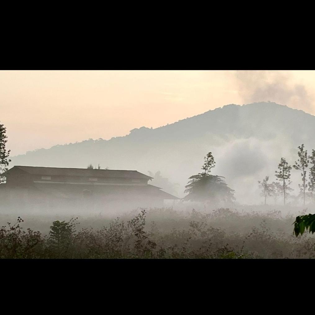 Springfield coorg