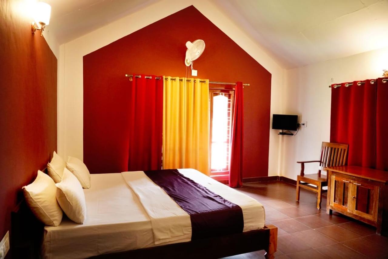 Springfield coorg