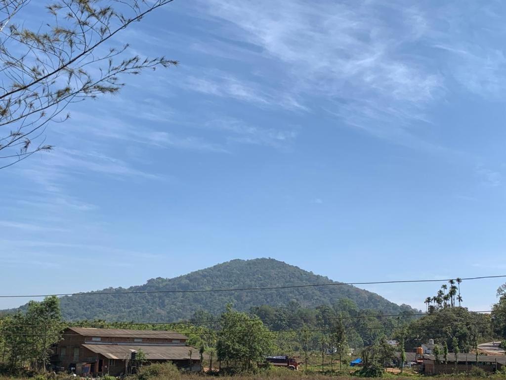 Springfield coorg