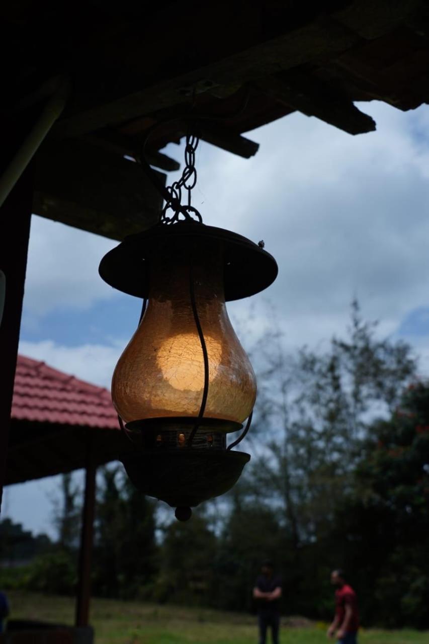 Springfield coorg
