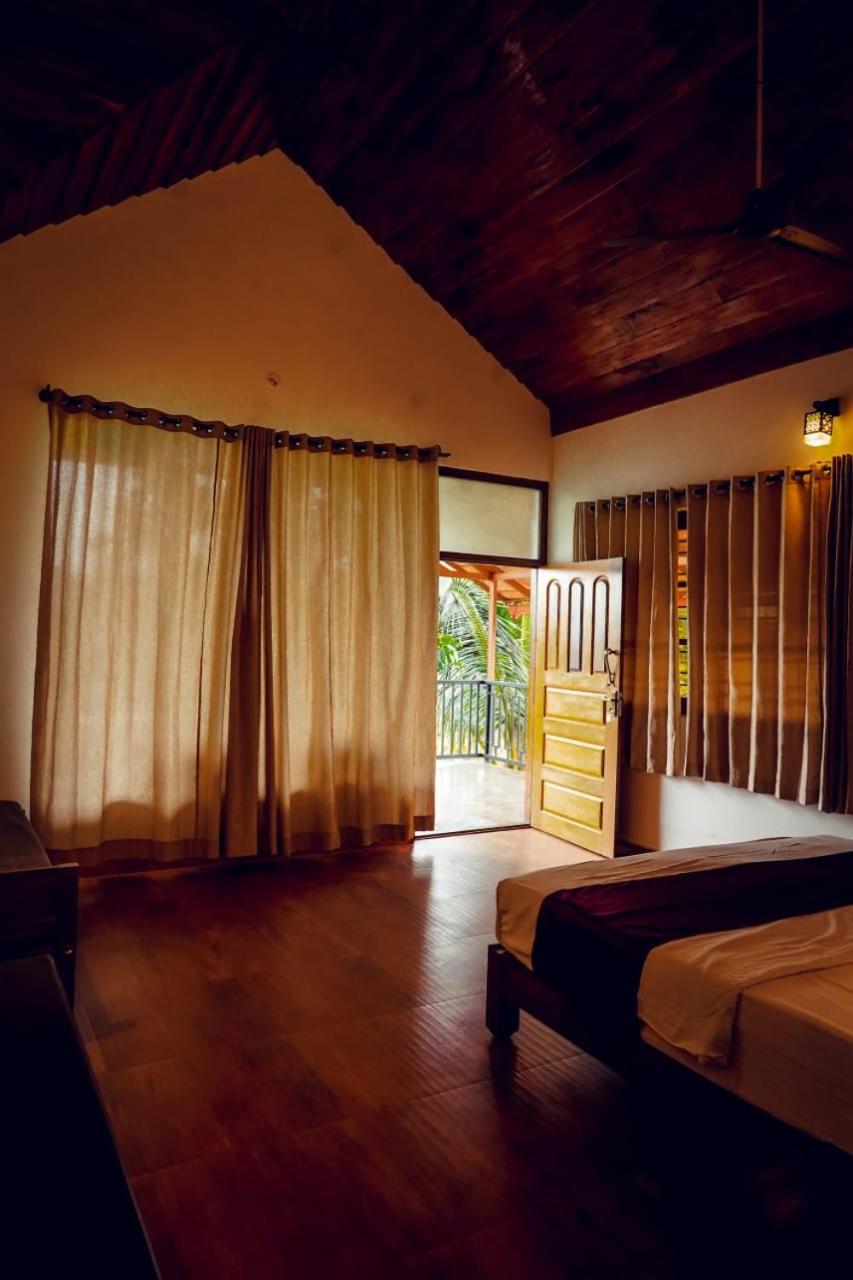 Springfield coorg
