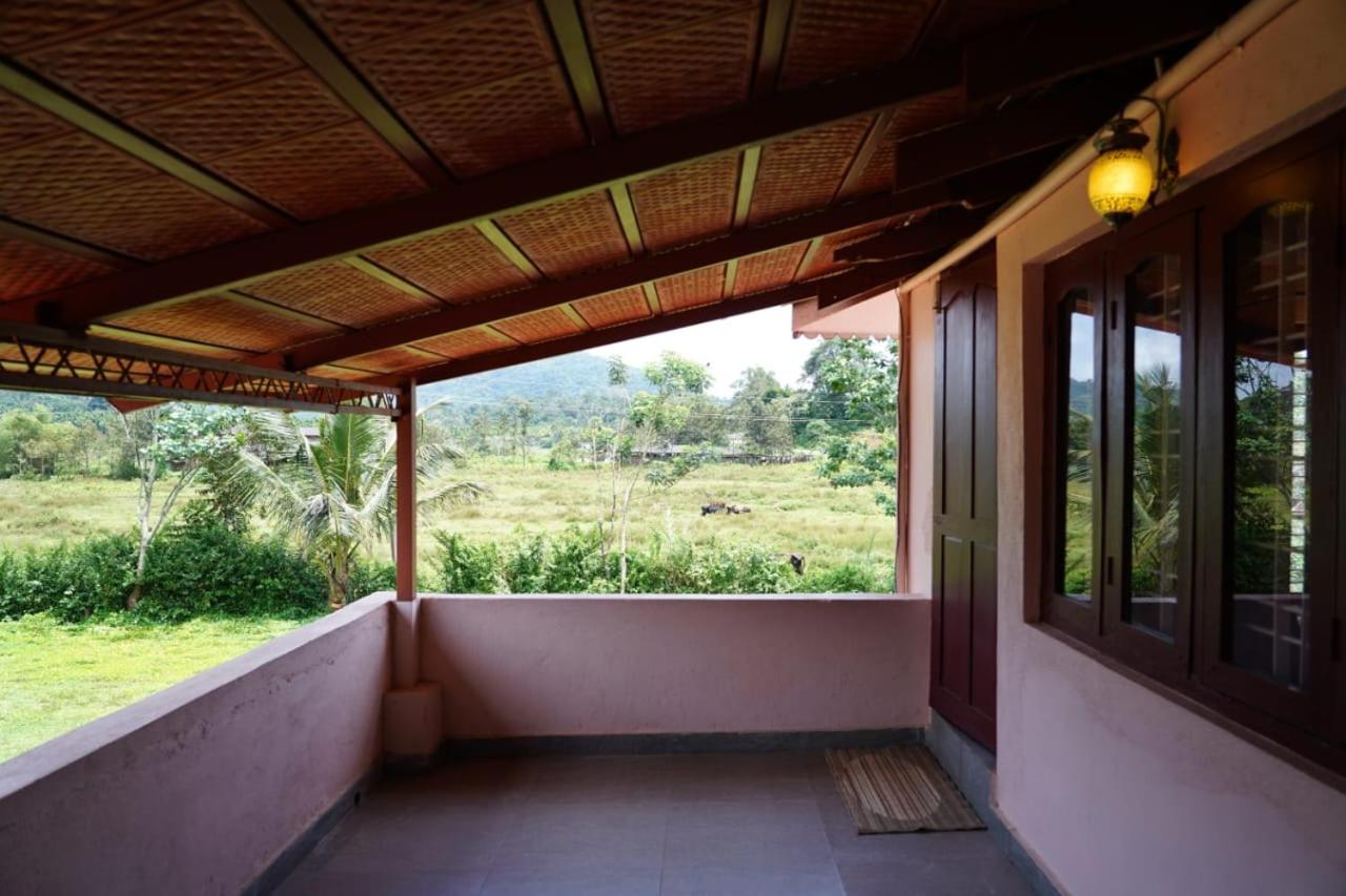 Springfield coorg