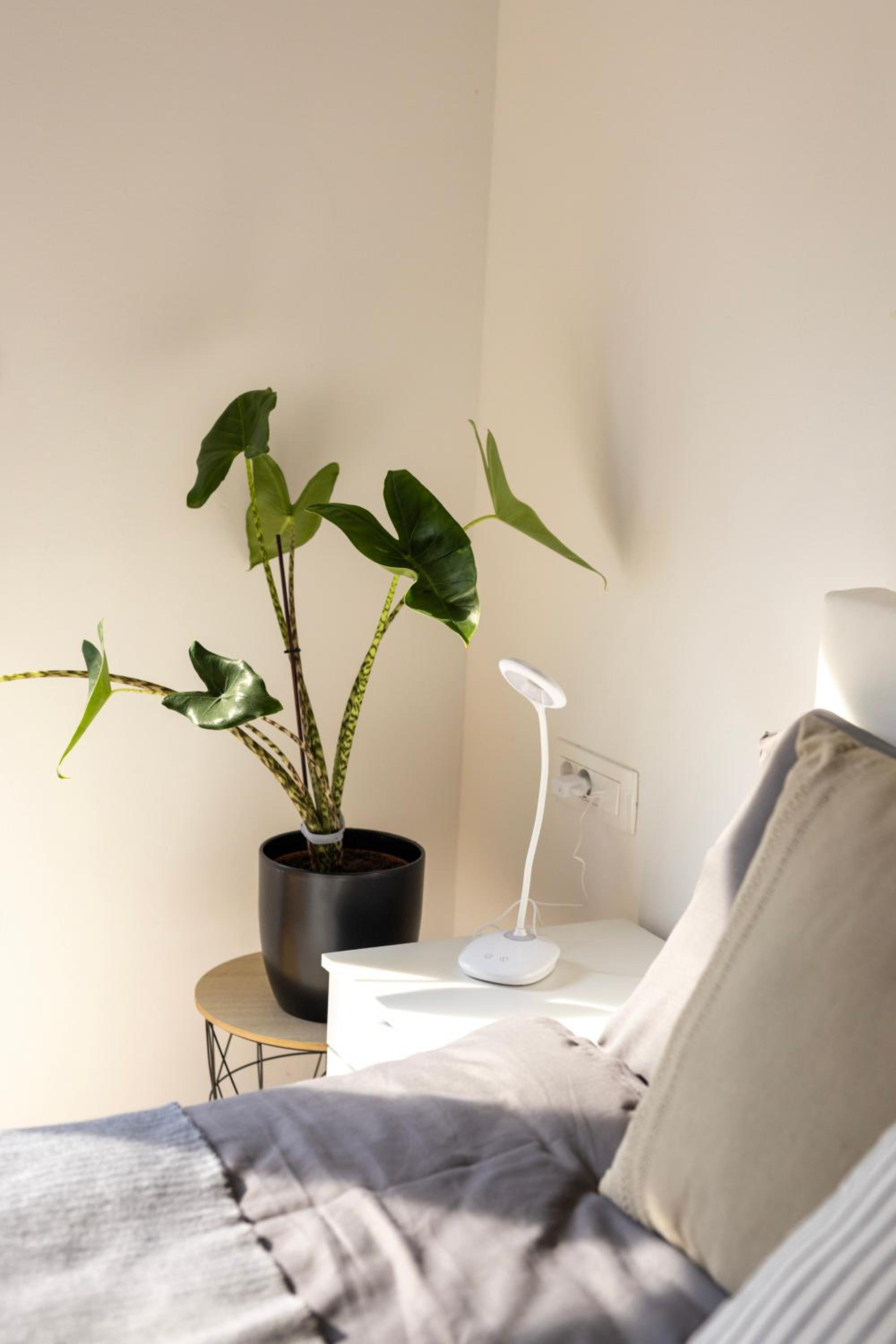 Aura Apartments
