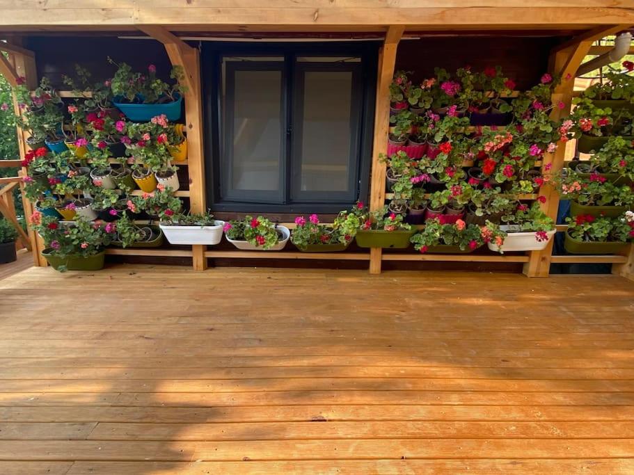 Eden Garden Villa Sardunya