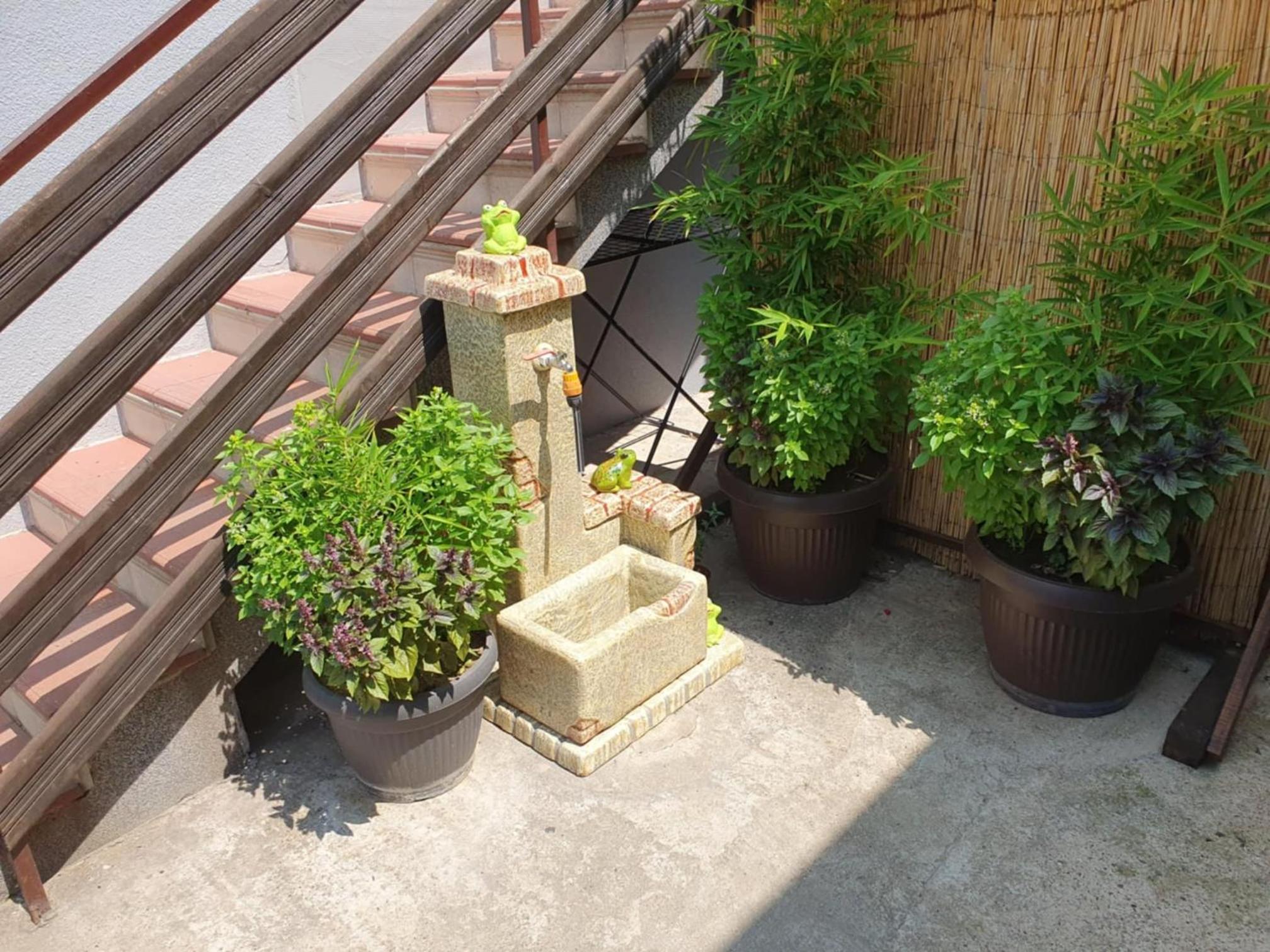 Photo 37