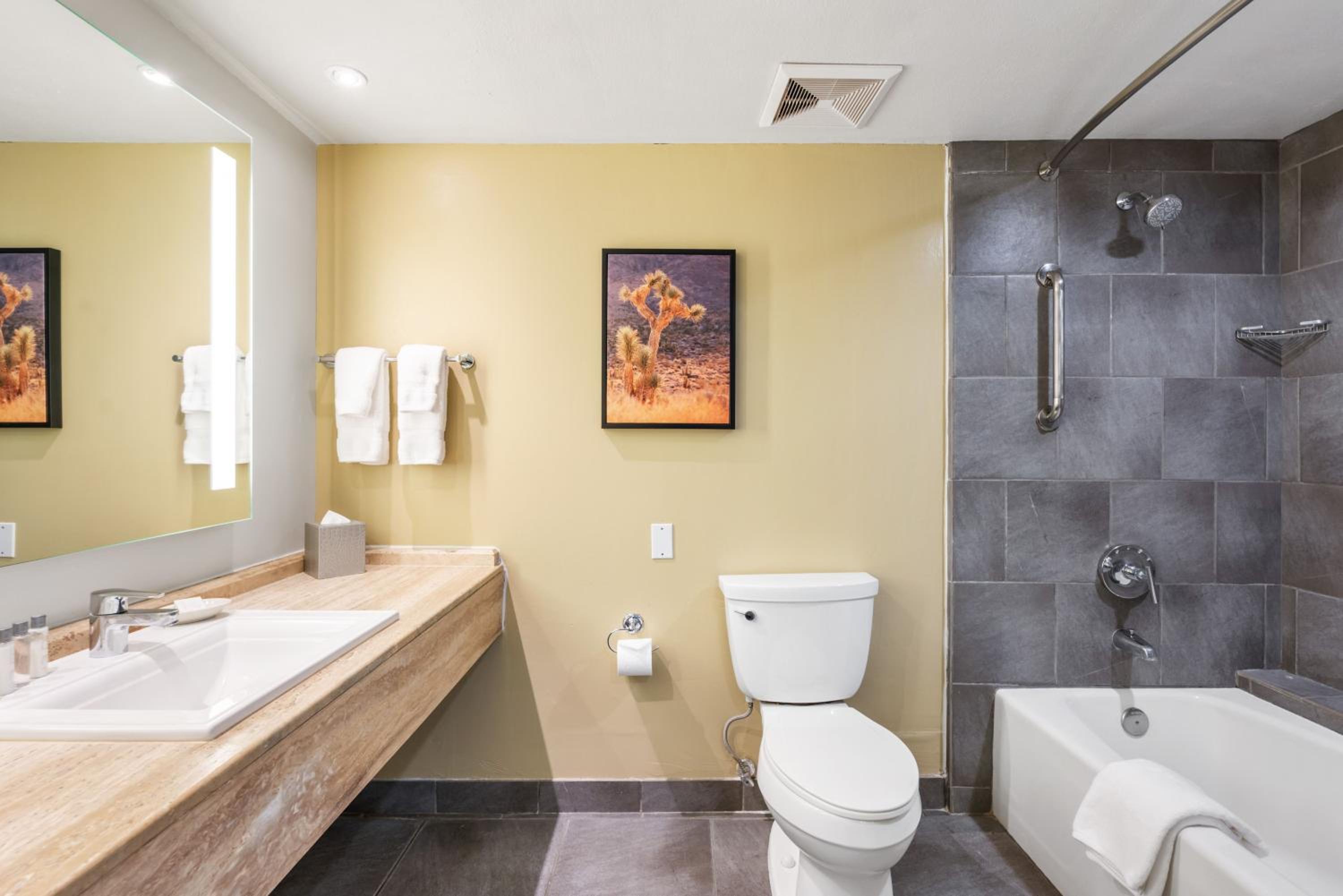 Palm Springs Vacations - Hotel Zoso - Property Image 22