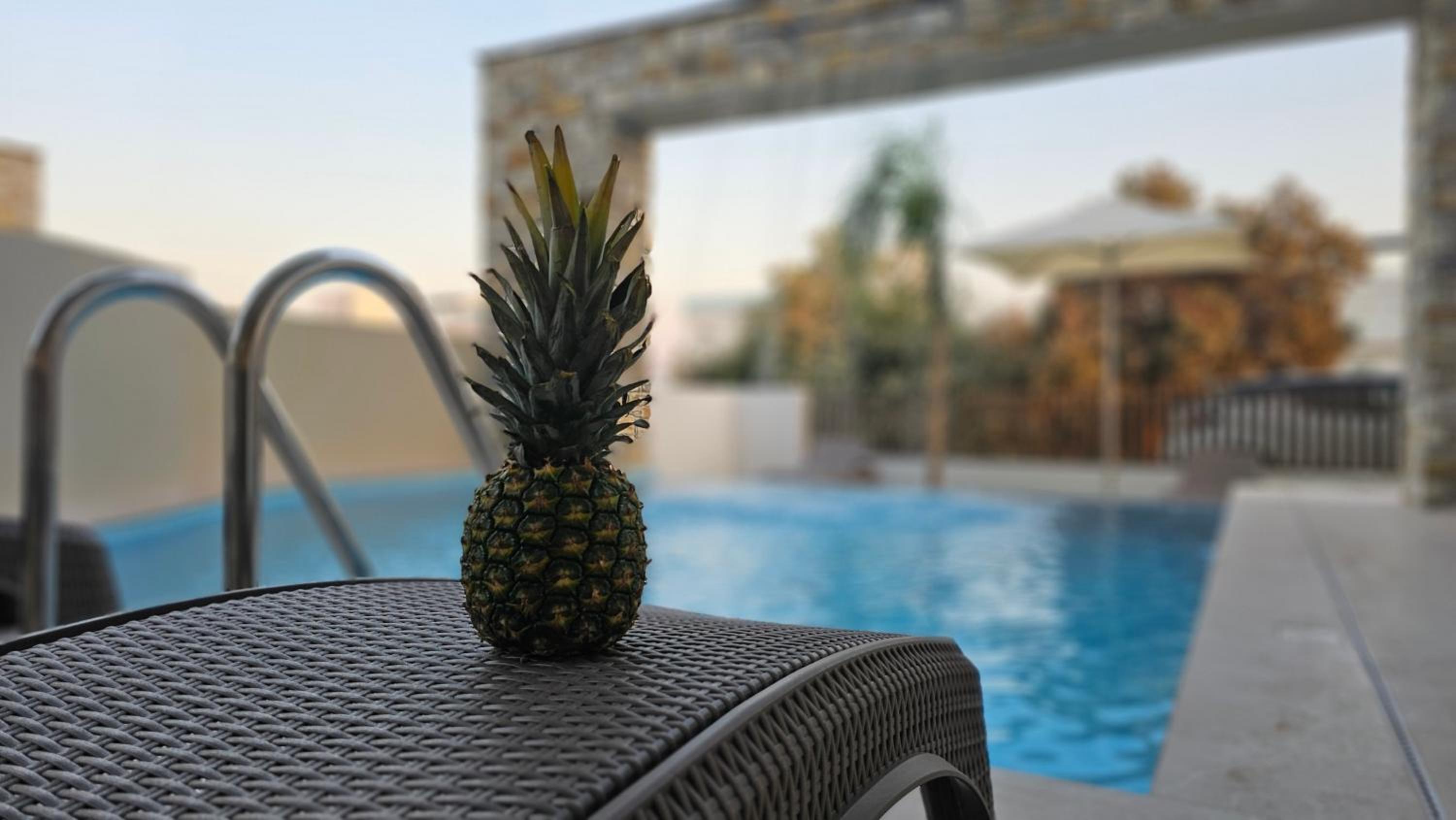 STAY Oasis Luxury Villas