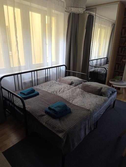 Cozy apartment in the city of Prague 2