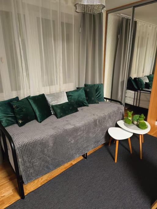 Cozy apartment in the city of Prague 2
