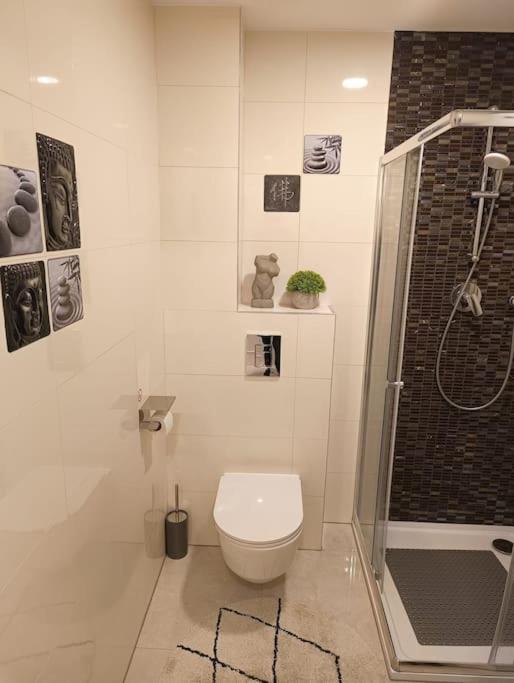Cozy apartment in the city of Prague 2
