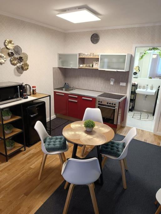 Cozy apartment in the city of Prague 2