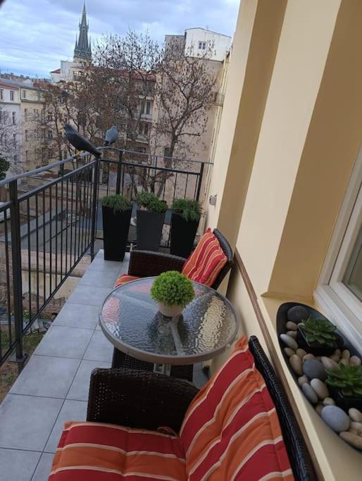Cozy apartment in the city of Prague 2