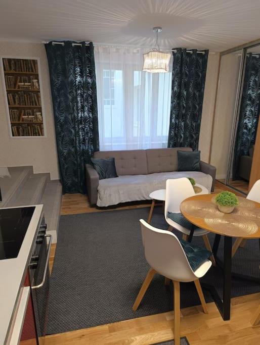 Cozy apartment in the city of Prague 2