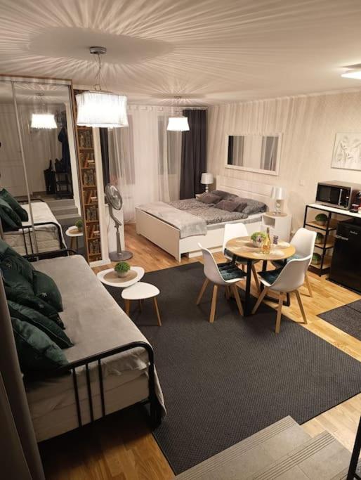 Cozy apartment in the city of Prague 2