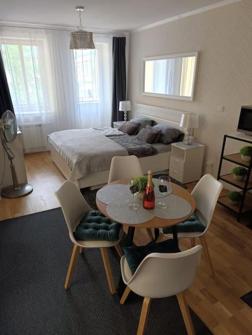 Cozy apartment in the city of Prague 2