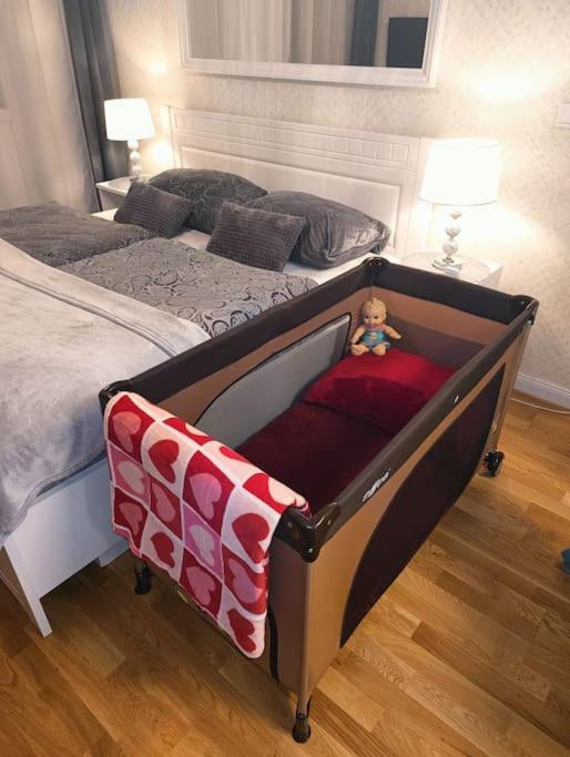 Cozy apartment in the city of Prague 2