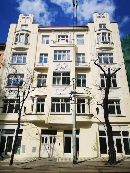 Cozy apartment in the city of Prague 2