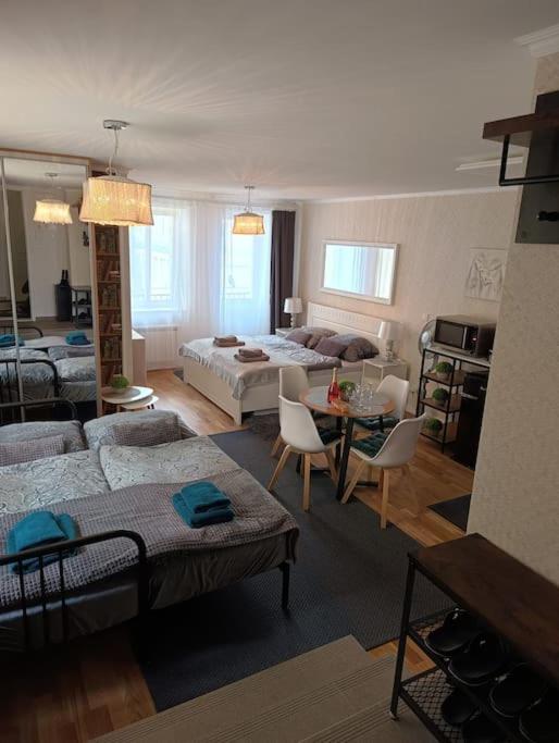 Cozy apartment in the city of Prague 2