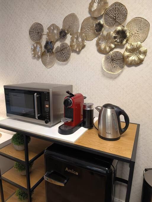 Cozy apartment in the city of Prague 2