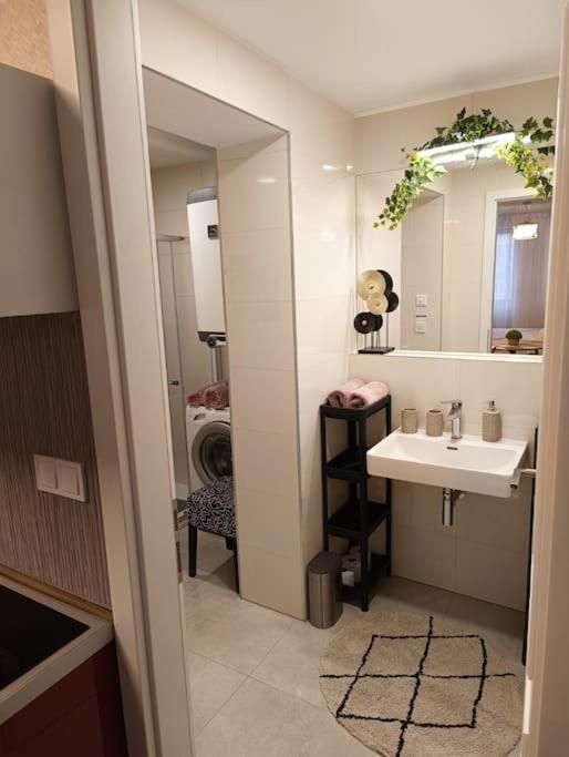 Cozy apartment in the city of Prague 2