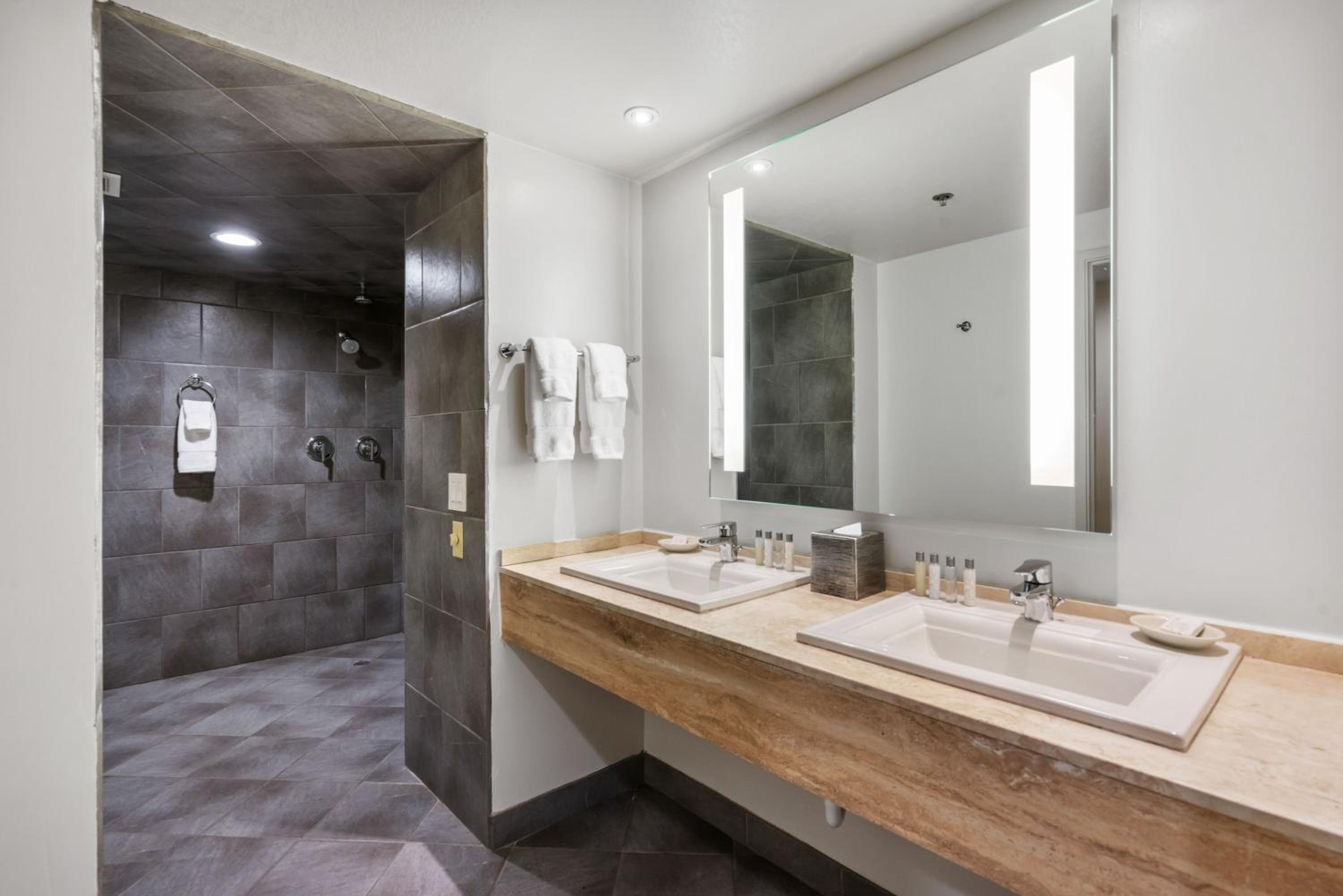 Palm Springs Vacations - Hotel Zoso - Property Image 5