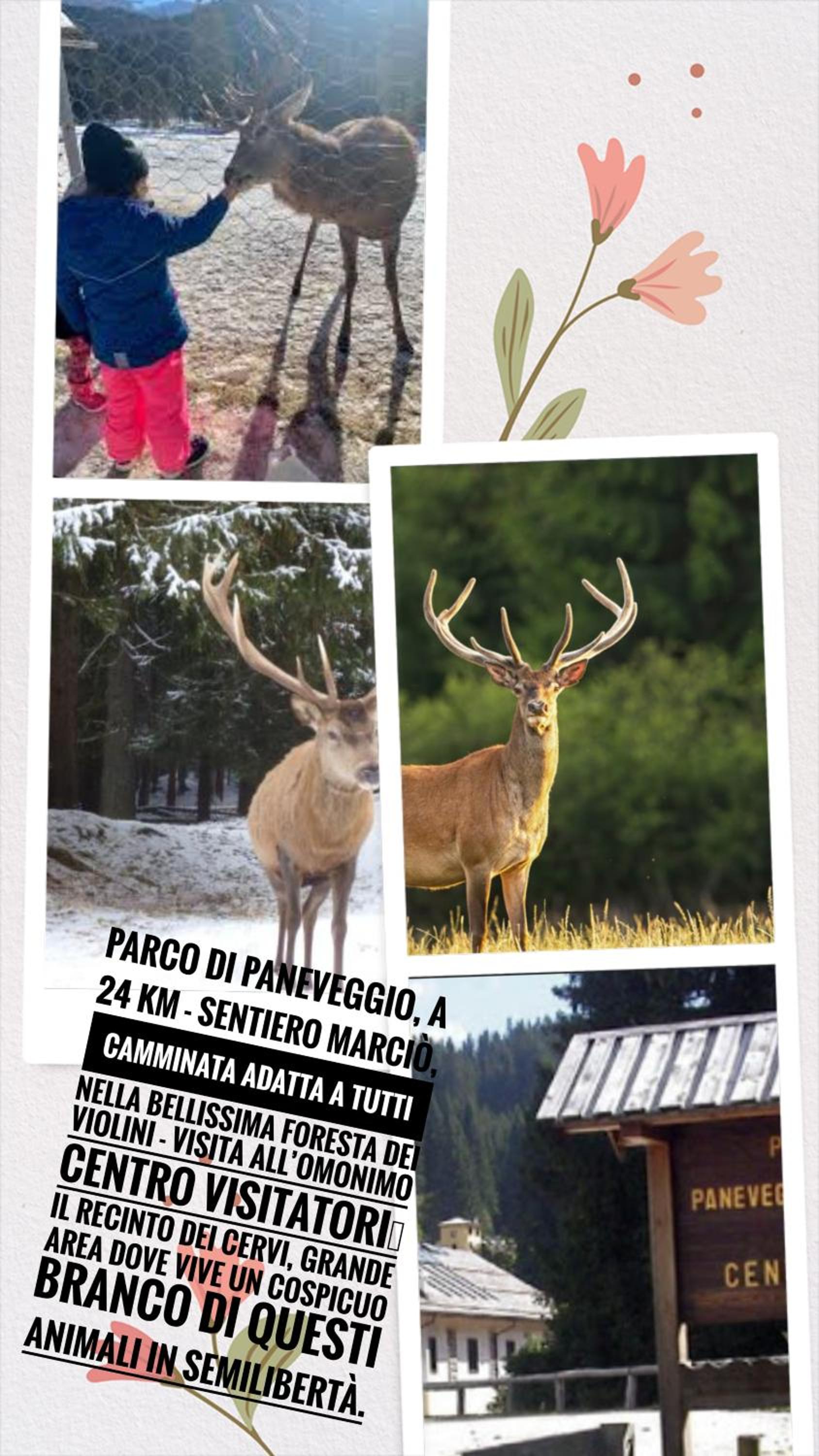Appartamento Diobono