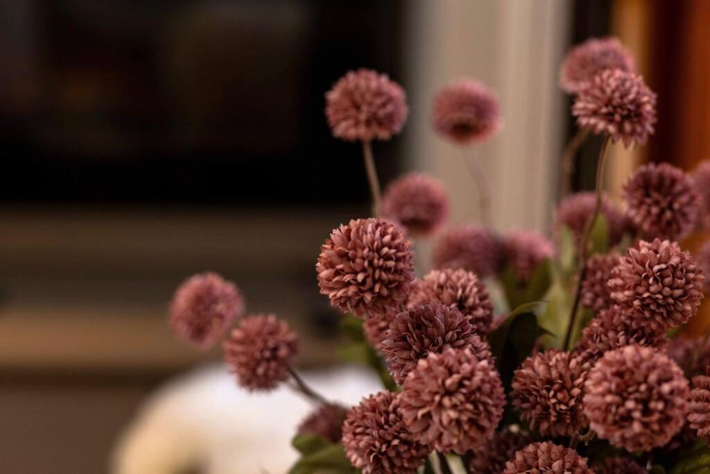 INV 11 - Moderno, lindo e bem localizado
