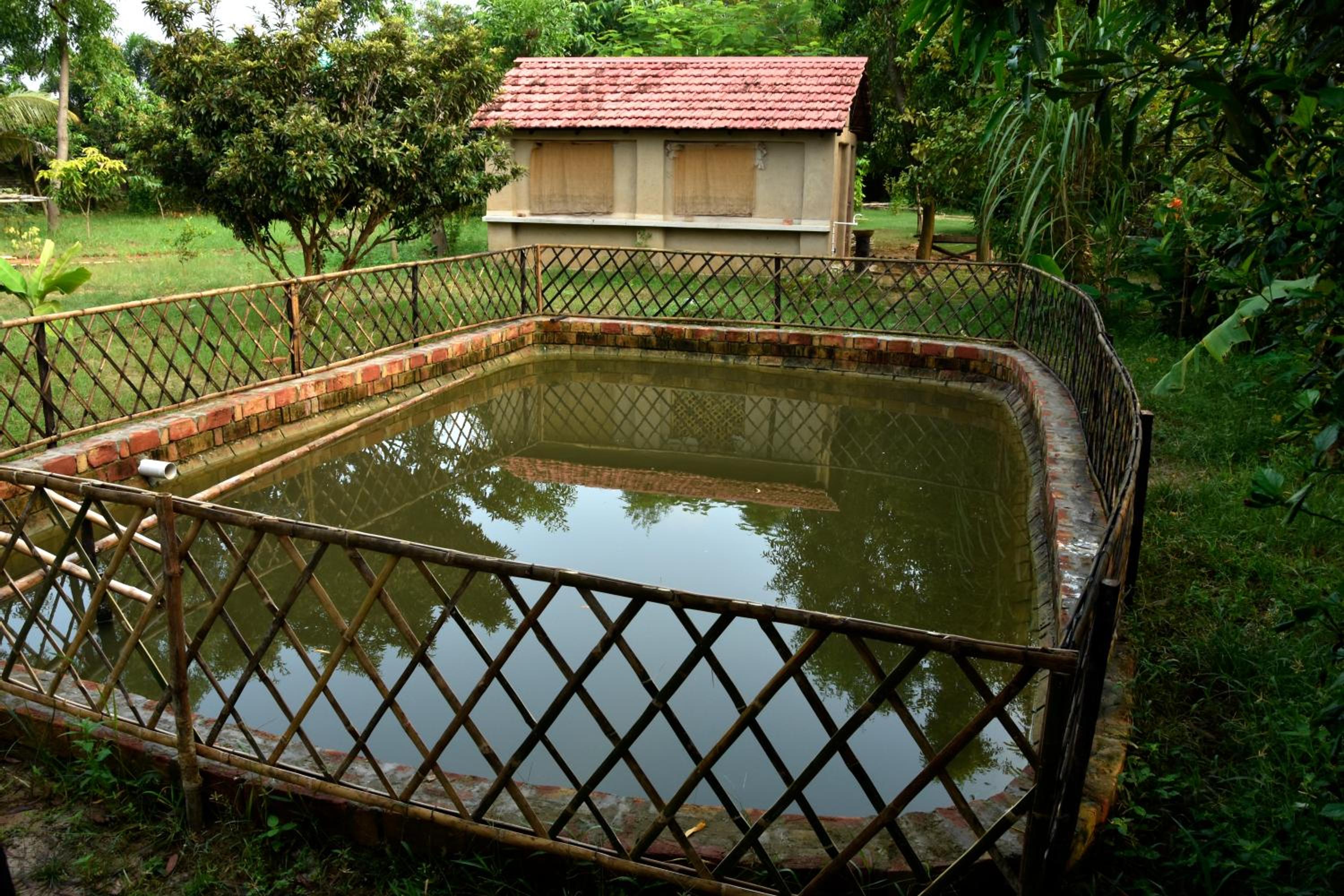 Harano Sur Santiniketan view 2