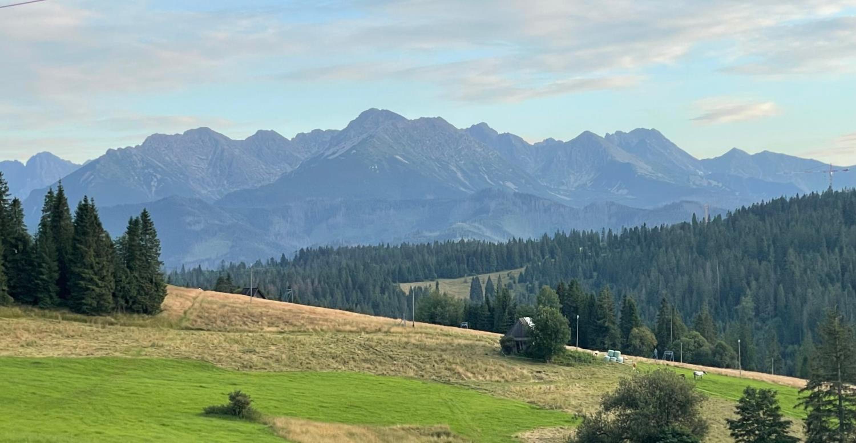 Willa Marysin Bukowina Tatrzańska view 5