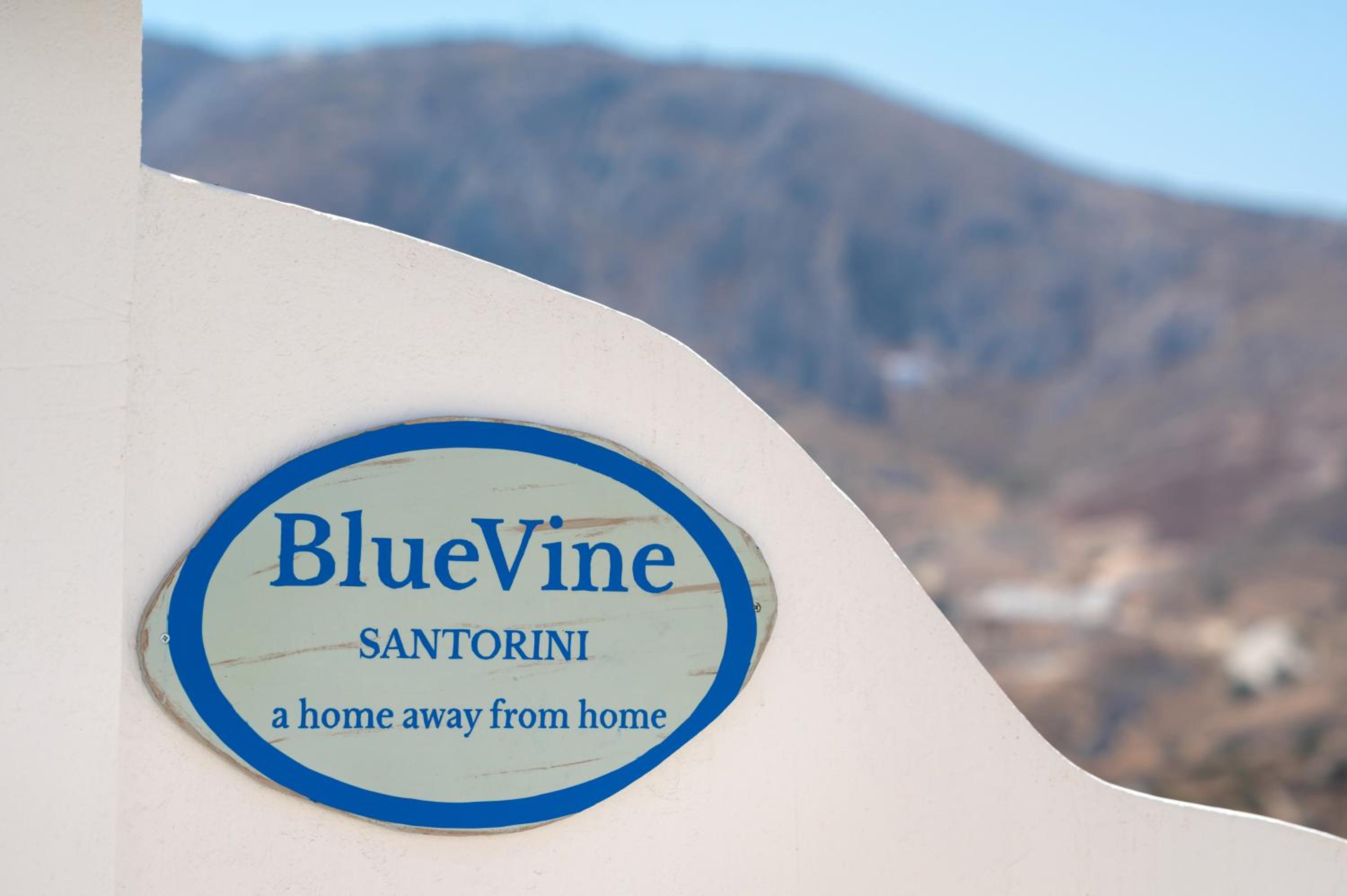 Blue Vine Villa Pool Breakfast photo 3