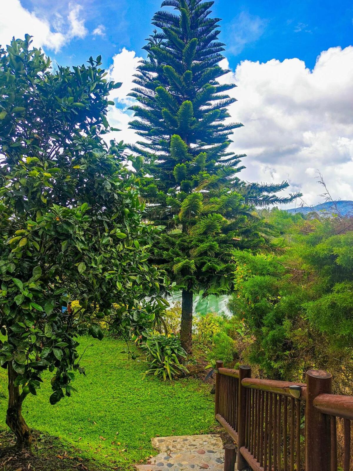 Finca Conejo