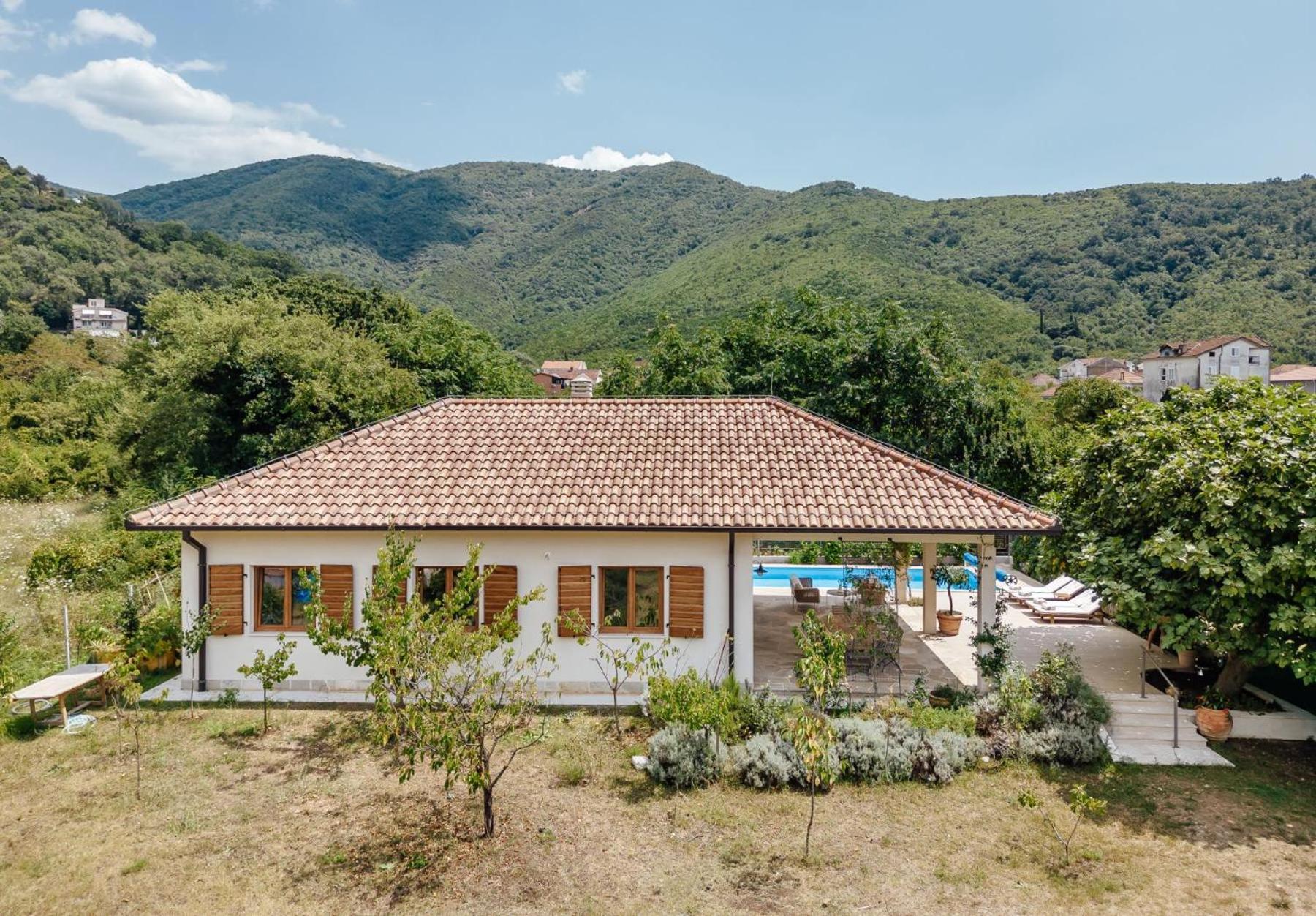 Adorable family villa with swimming pool and olive garden view 3