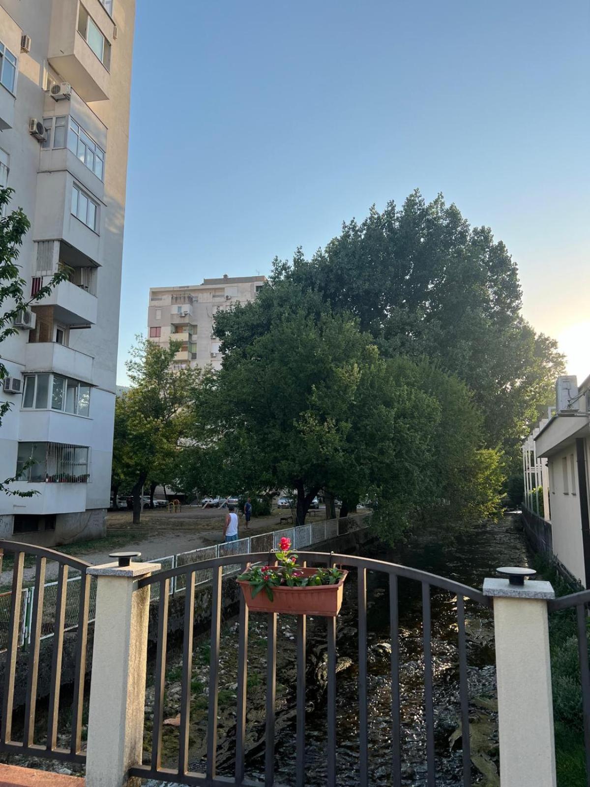 Apartment Maris