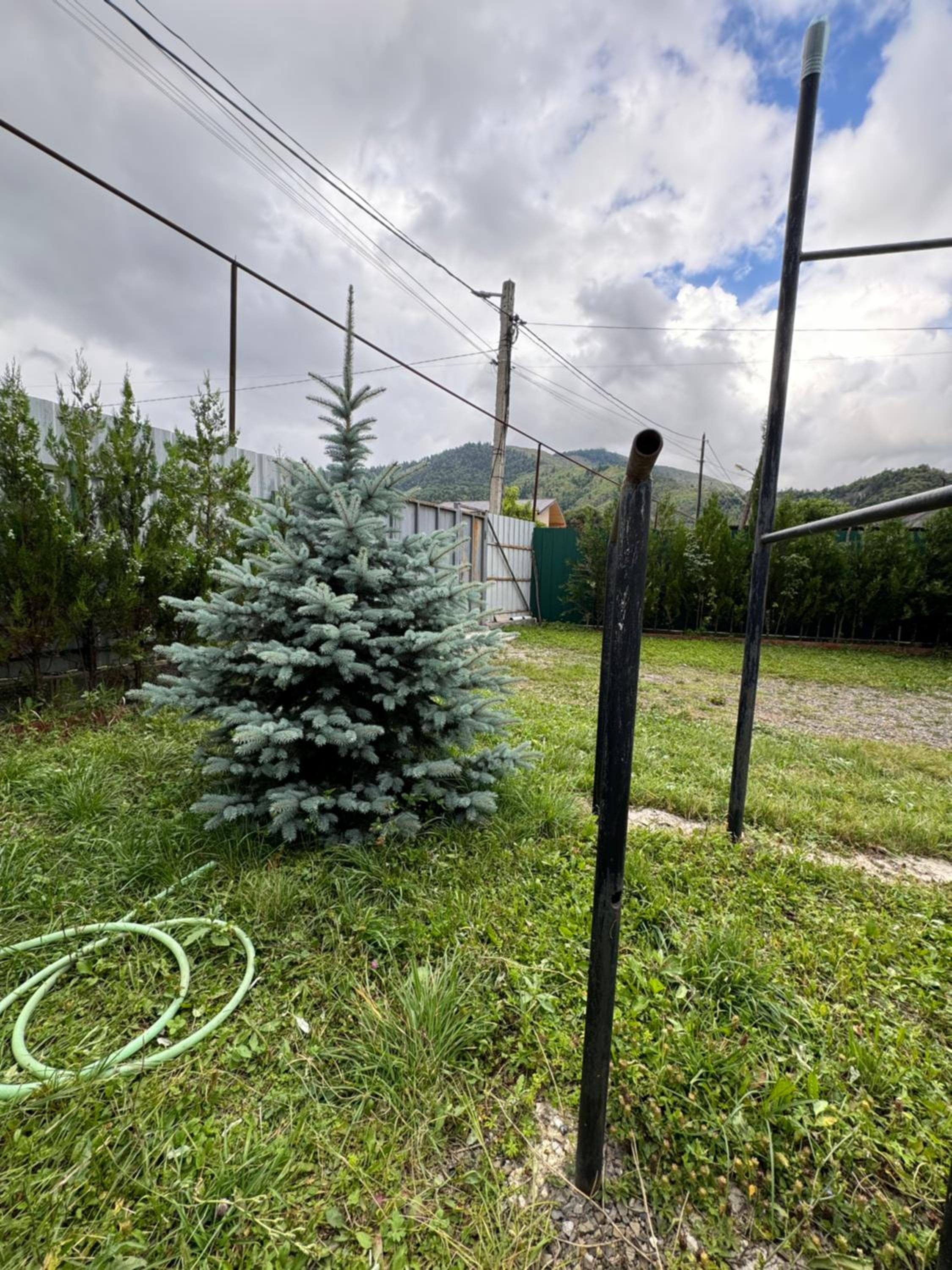Photo 25