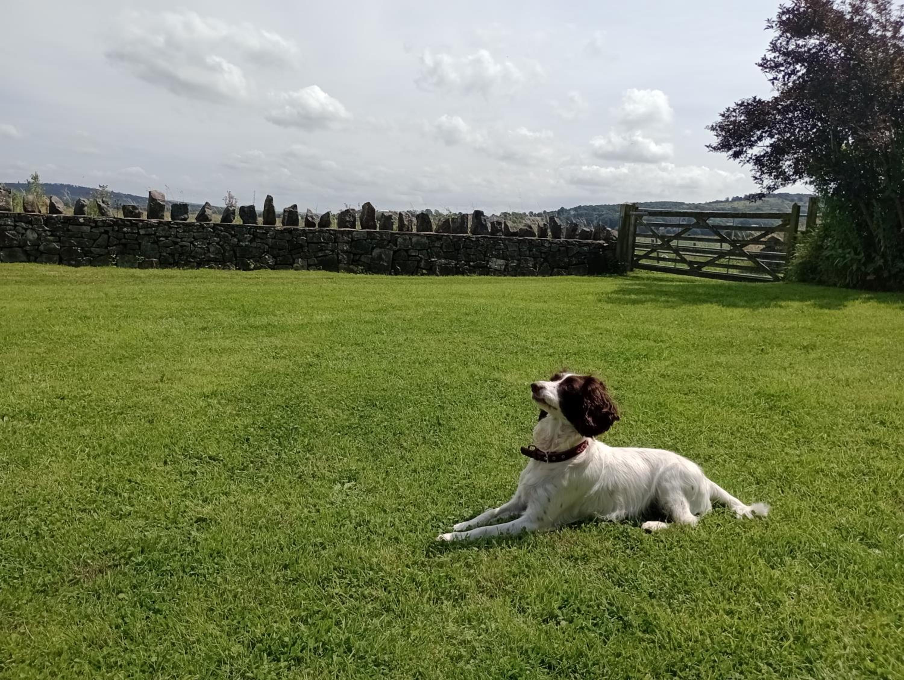 Sunnyside Farm