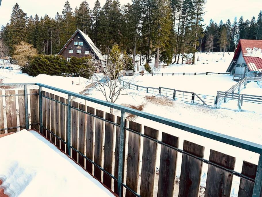 Wohnung direkt an der Skipiste und Bergbahn, 7 Betten, 2 Bäder