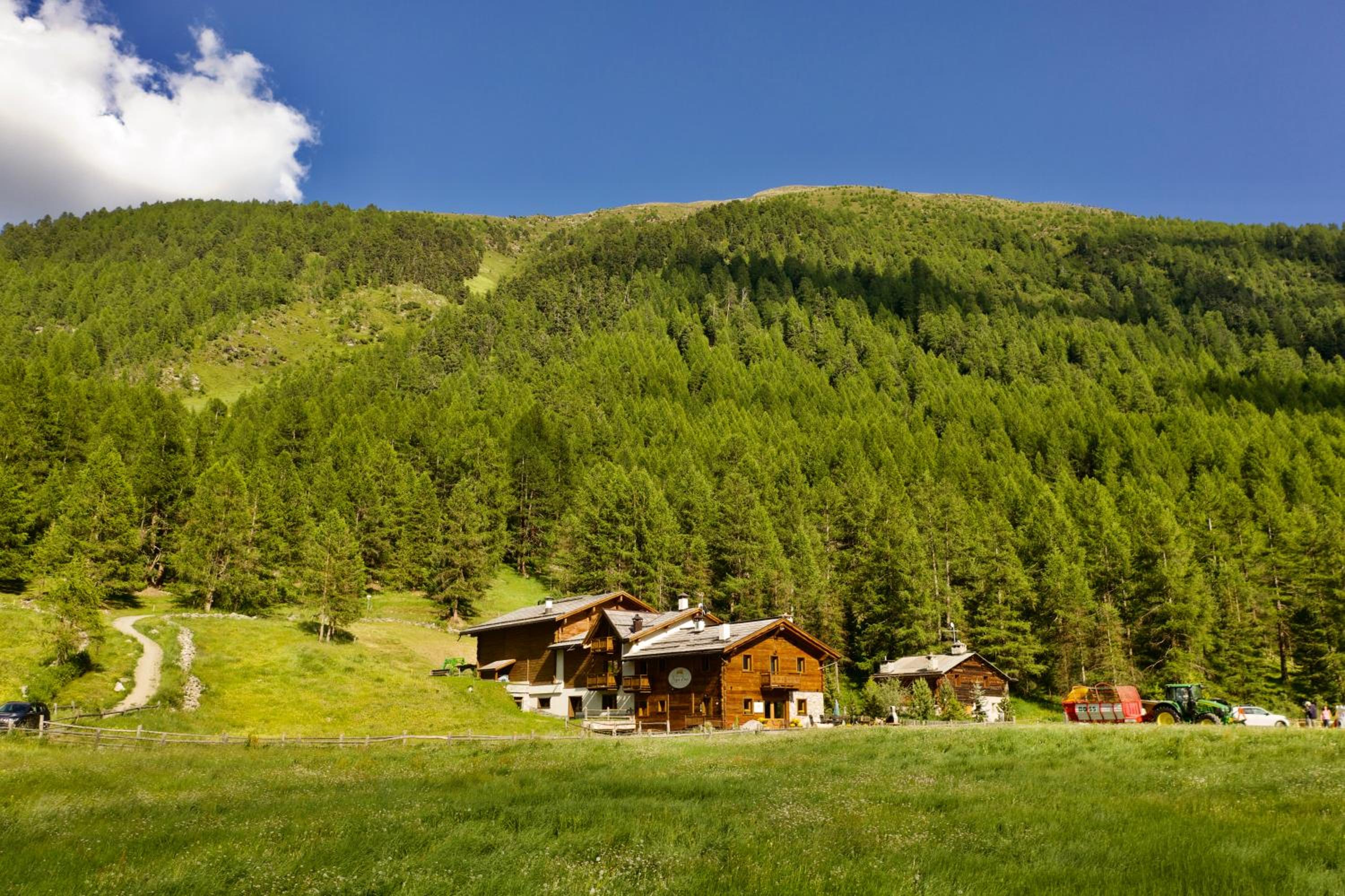 Agriturismo Bosco d'oro Livigno view 3