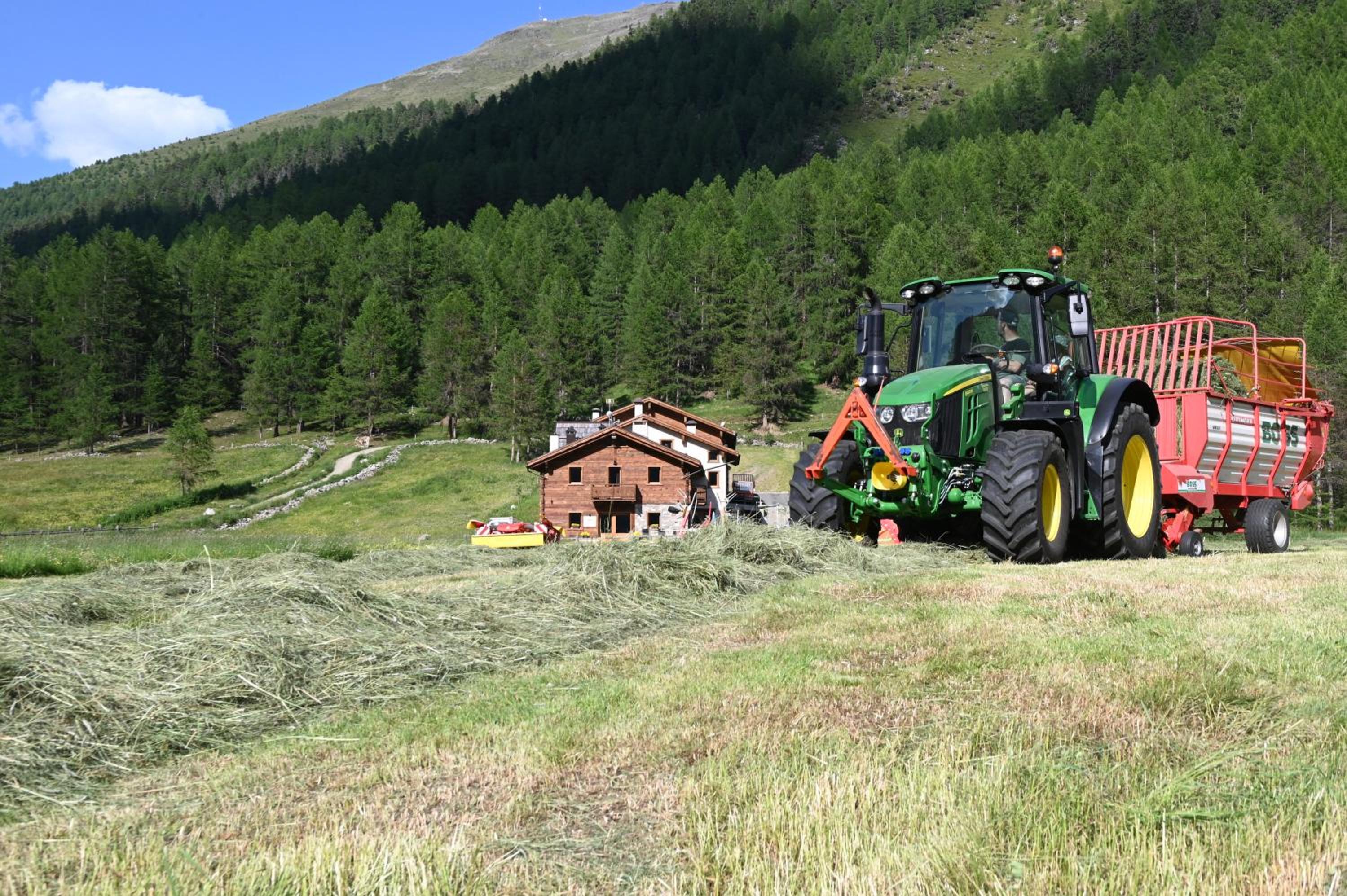 Agriturismo Bosco d'oro Livigno view 4