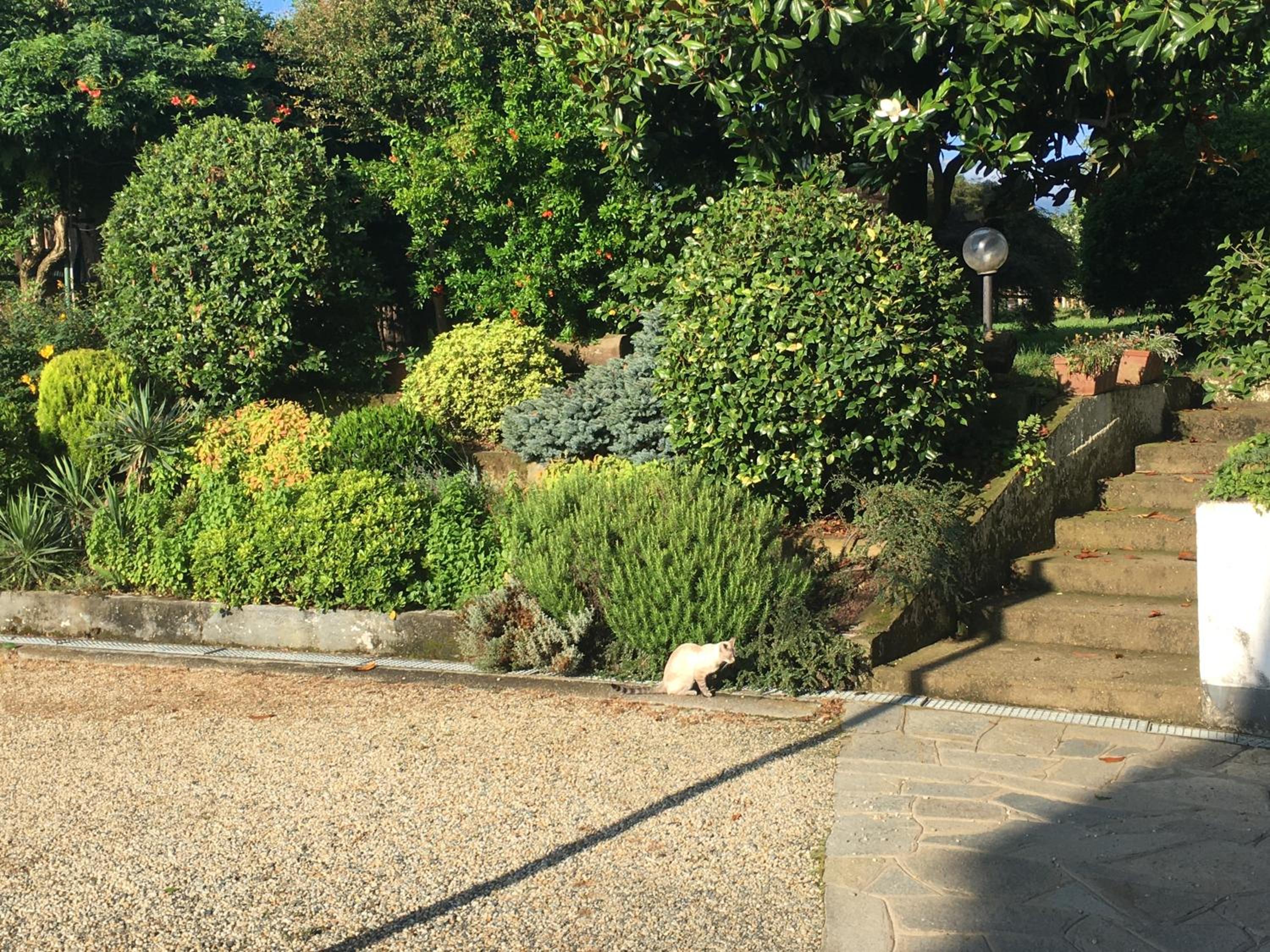 Photo 17