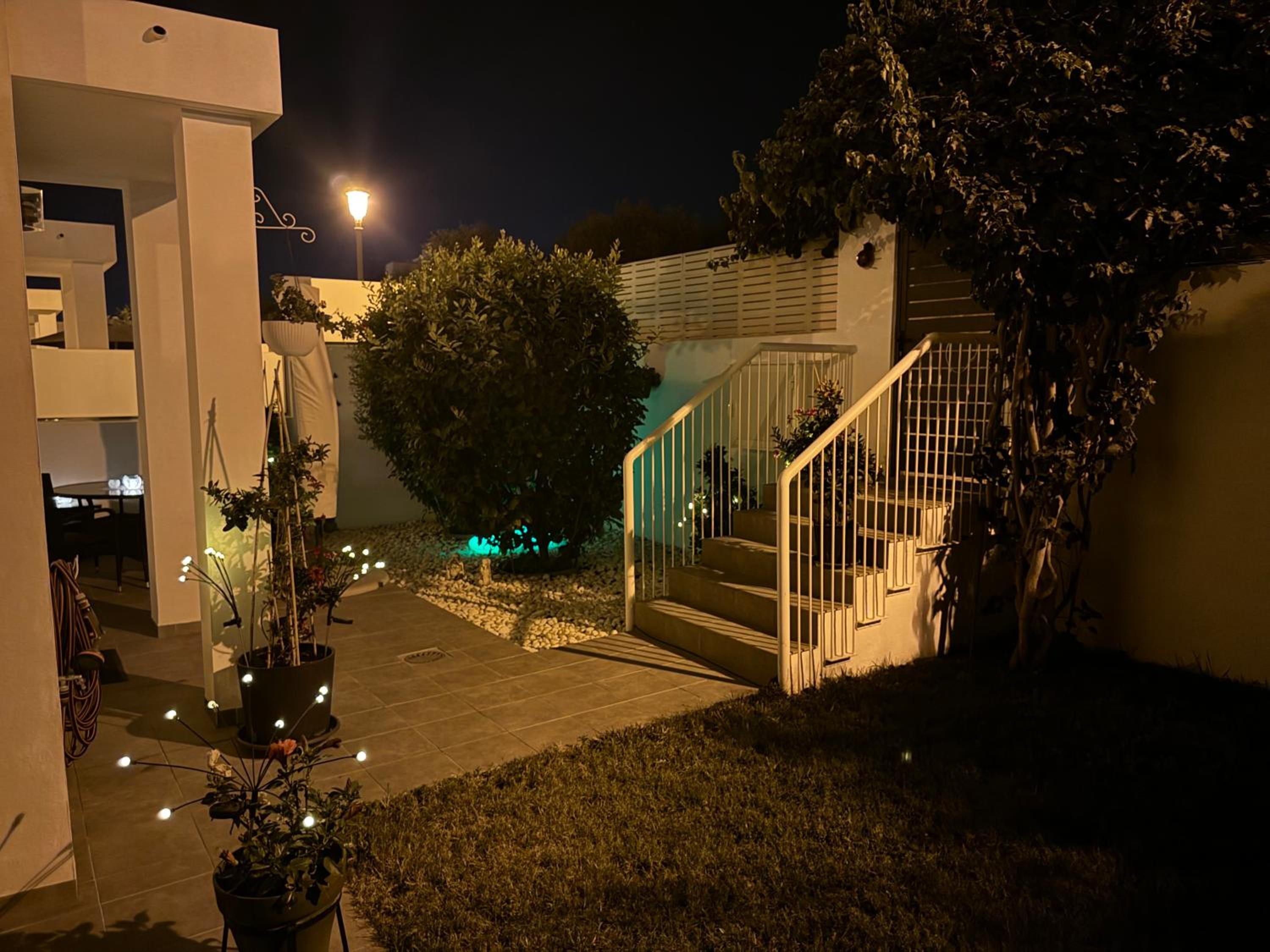 Photo 41