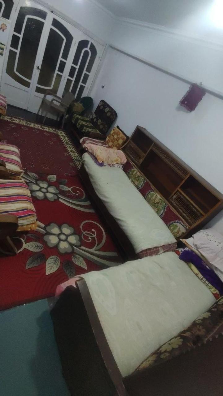 TM team- Elsohagy apartment
