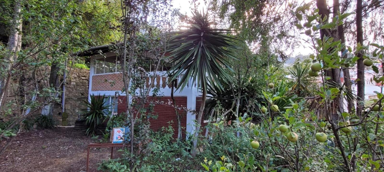 Casa Flores de la Montaña view 5