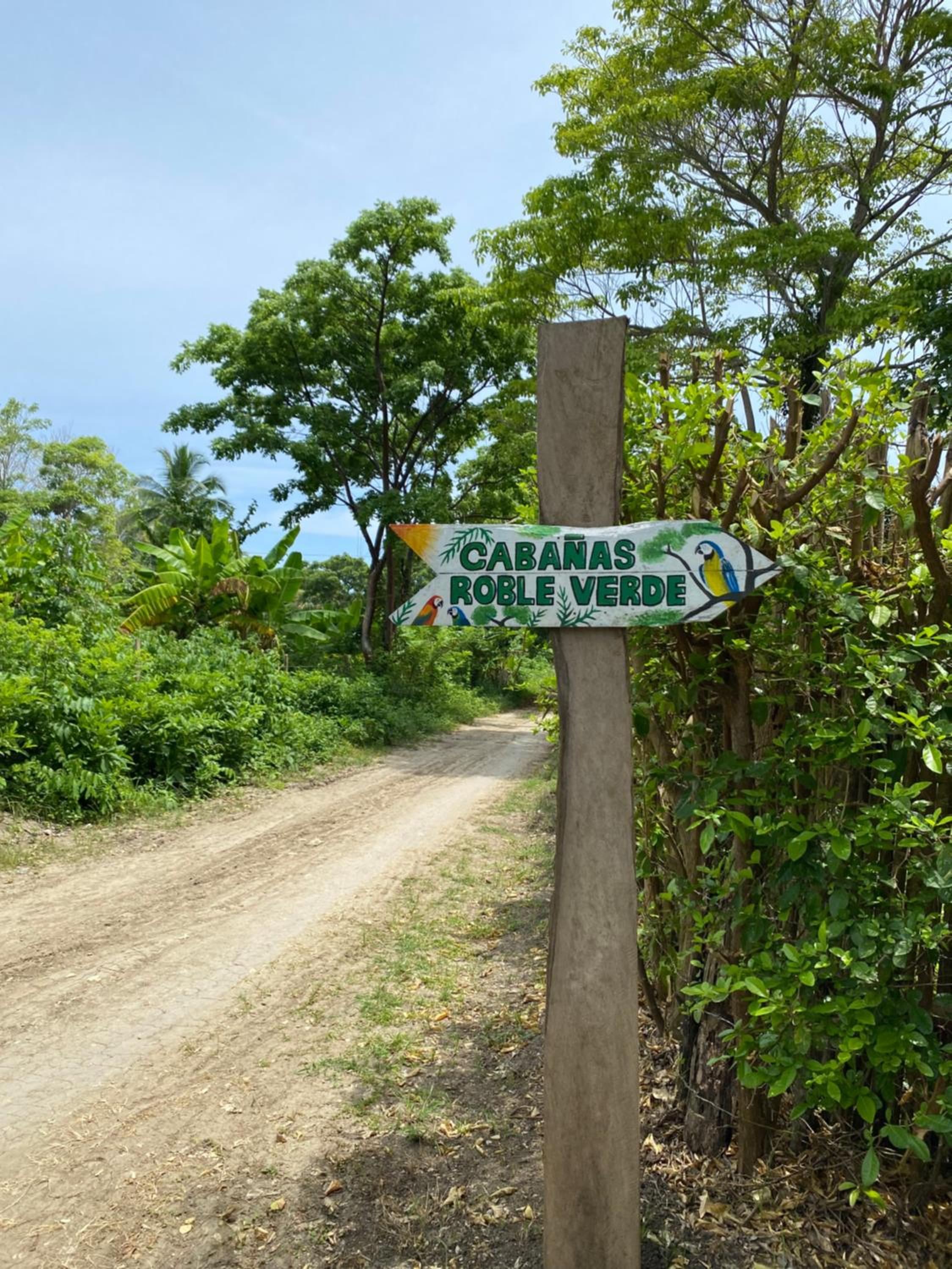 Cabaña roble verde 2